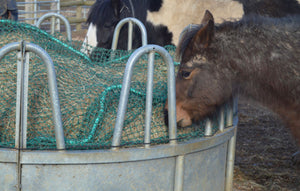 All Things Stable & Yard