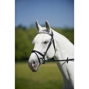 Bridlework
