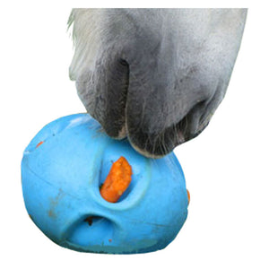 Stable, Field & Yard Equipment