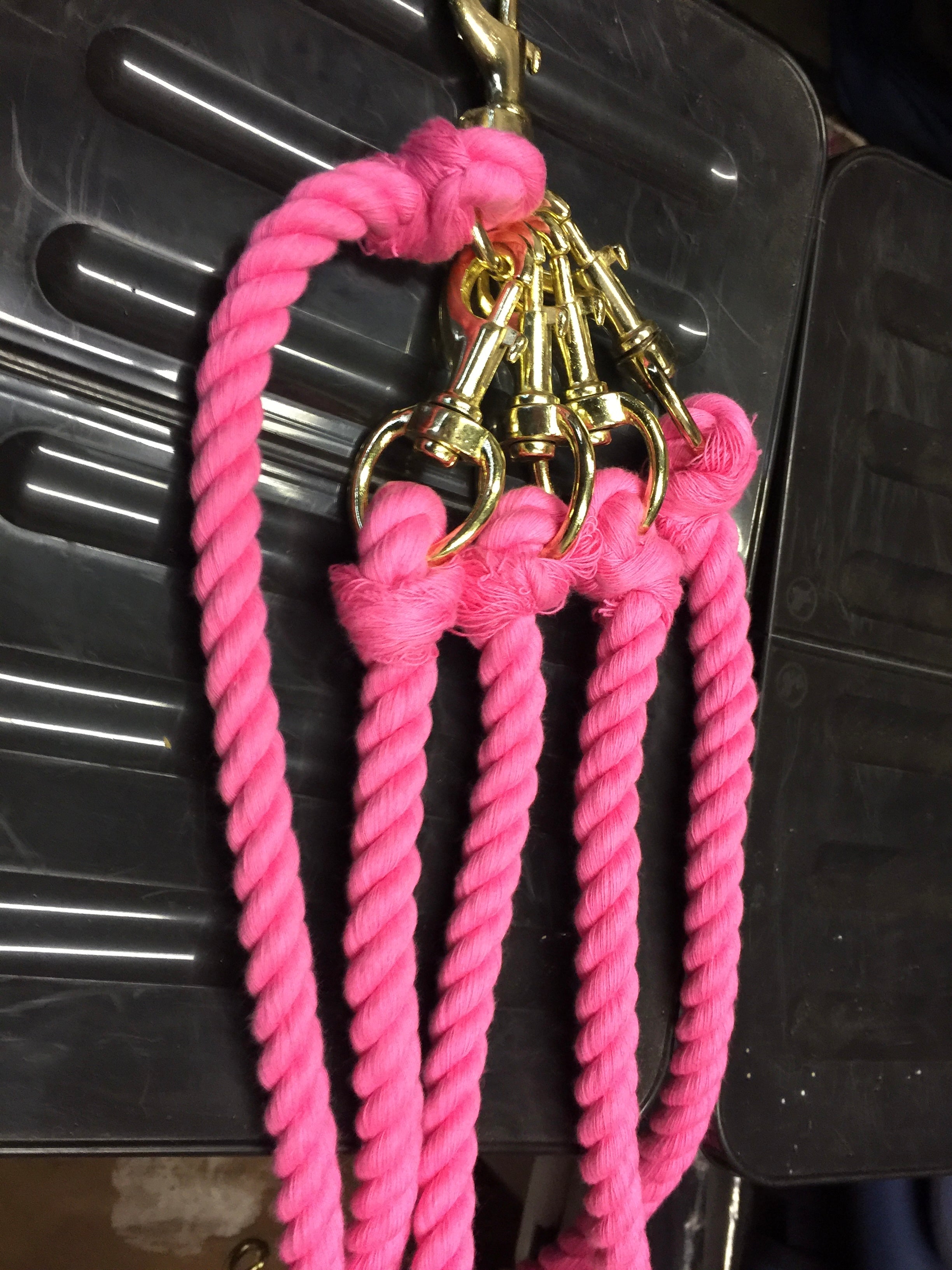 Lead Rope