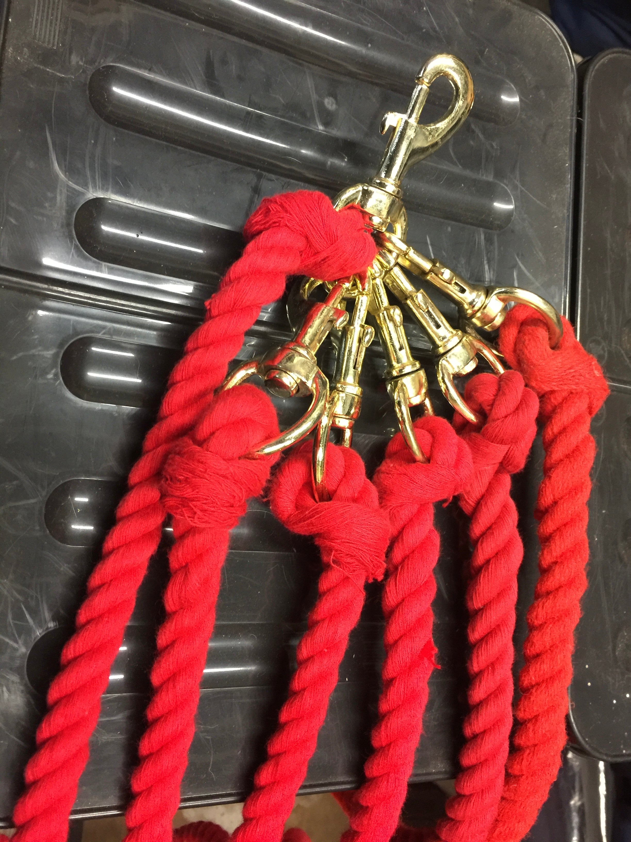 Lead Rope