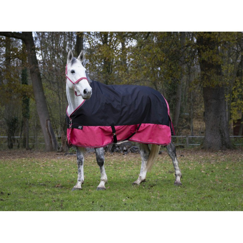 Equitheme TYREX Turnout Rug 1200D