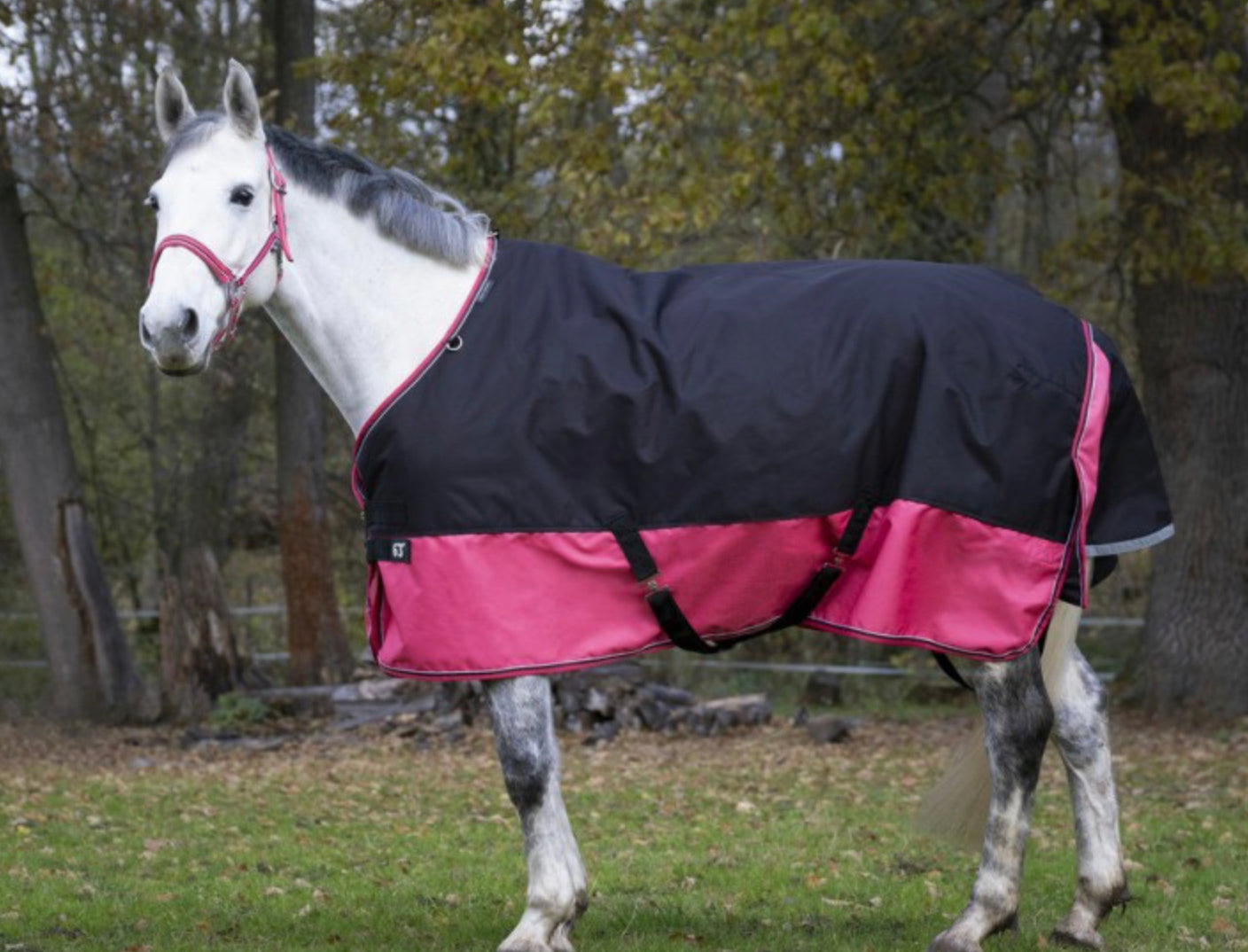 Equitheme TYREX Turnout Rug 1200D