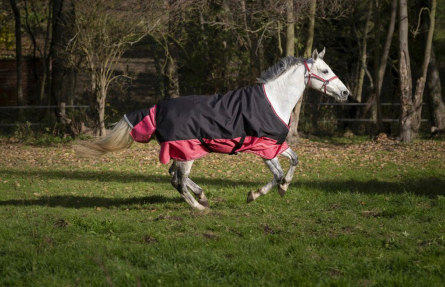 Equitheme TYREX Turnout Rug 1200D