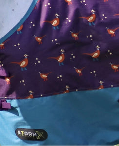 HY StormX 100 g Turnout Rug “ Patrick The Pheasant “