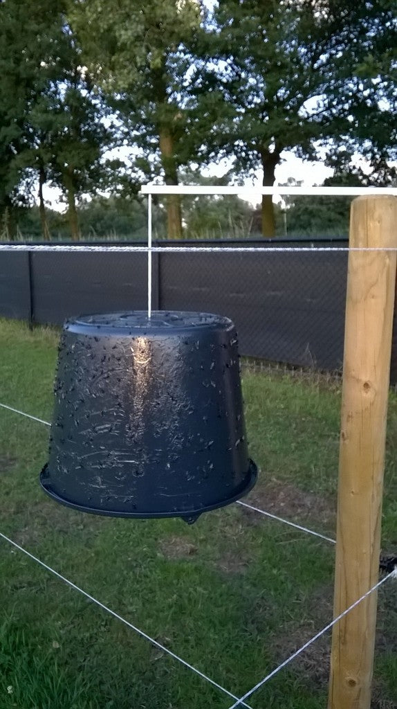 Sticky Trap