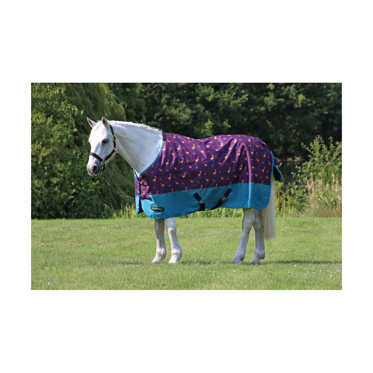 HY StormX 100 g Turnout Rug “ Patrick The Pheasant “