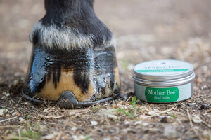 Mother Bee Hoof Balm