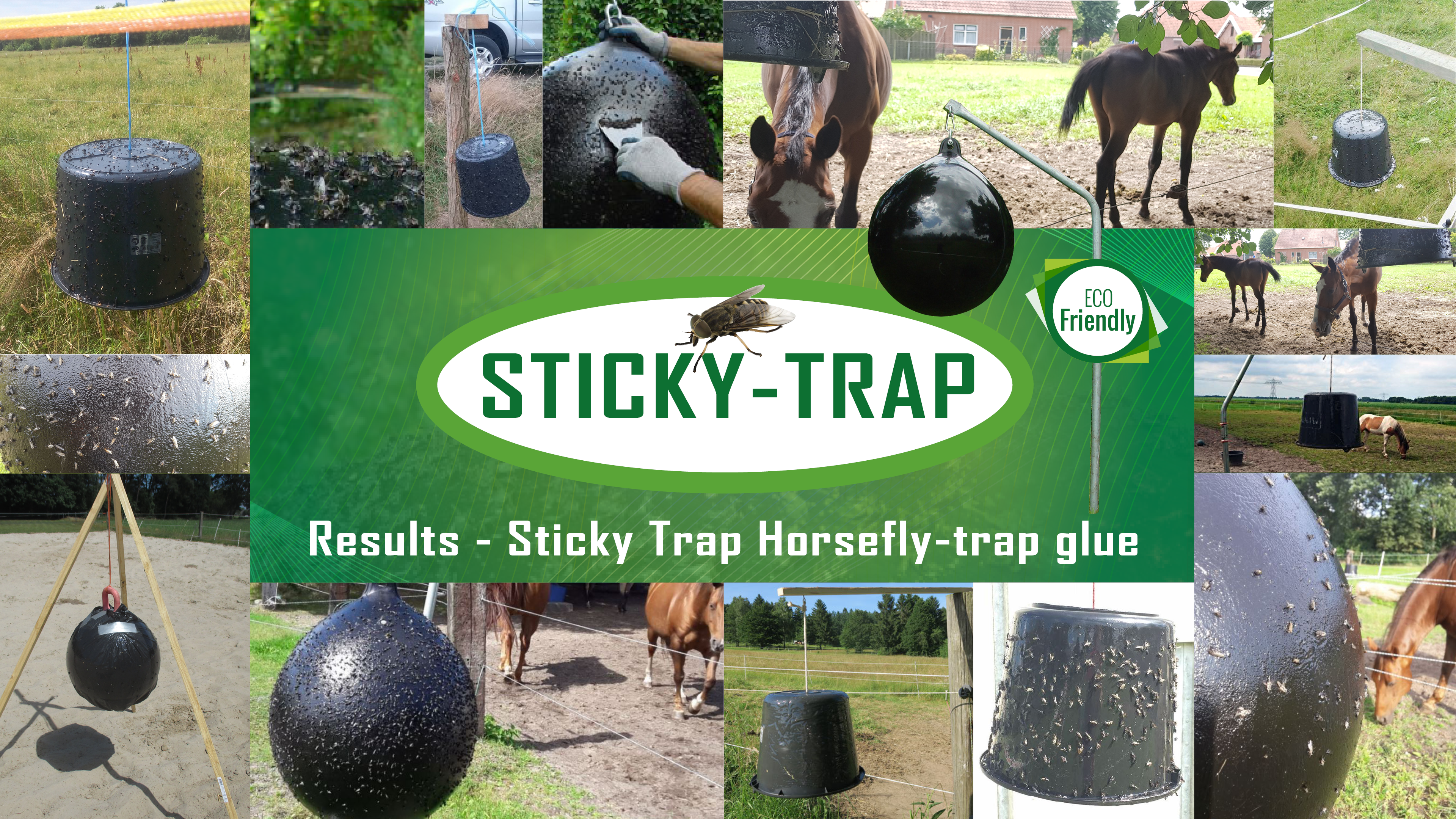 Sticky Trap