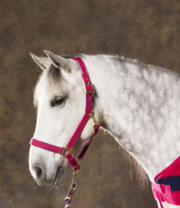 EquiTheme Stripe Fleece Lined Headcollar 5 Colours!!