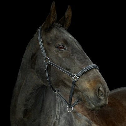 Gallop Leather Headcollar