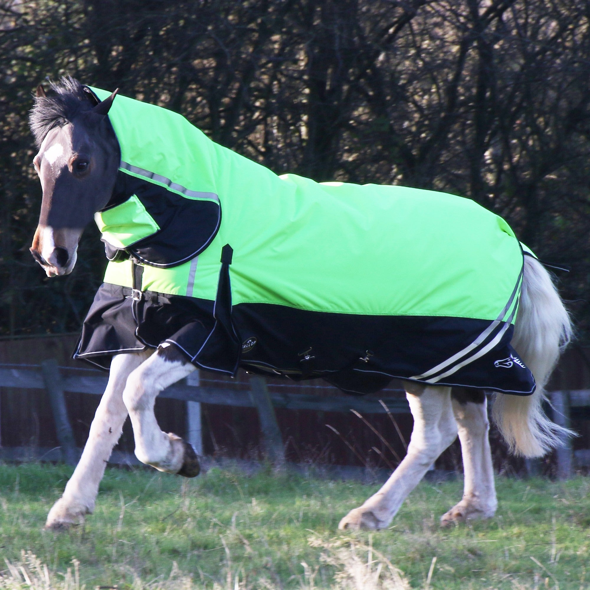 Gallop HV Combo Turnout Medium 200g