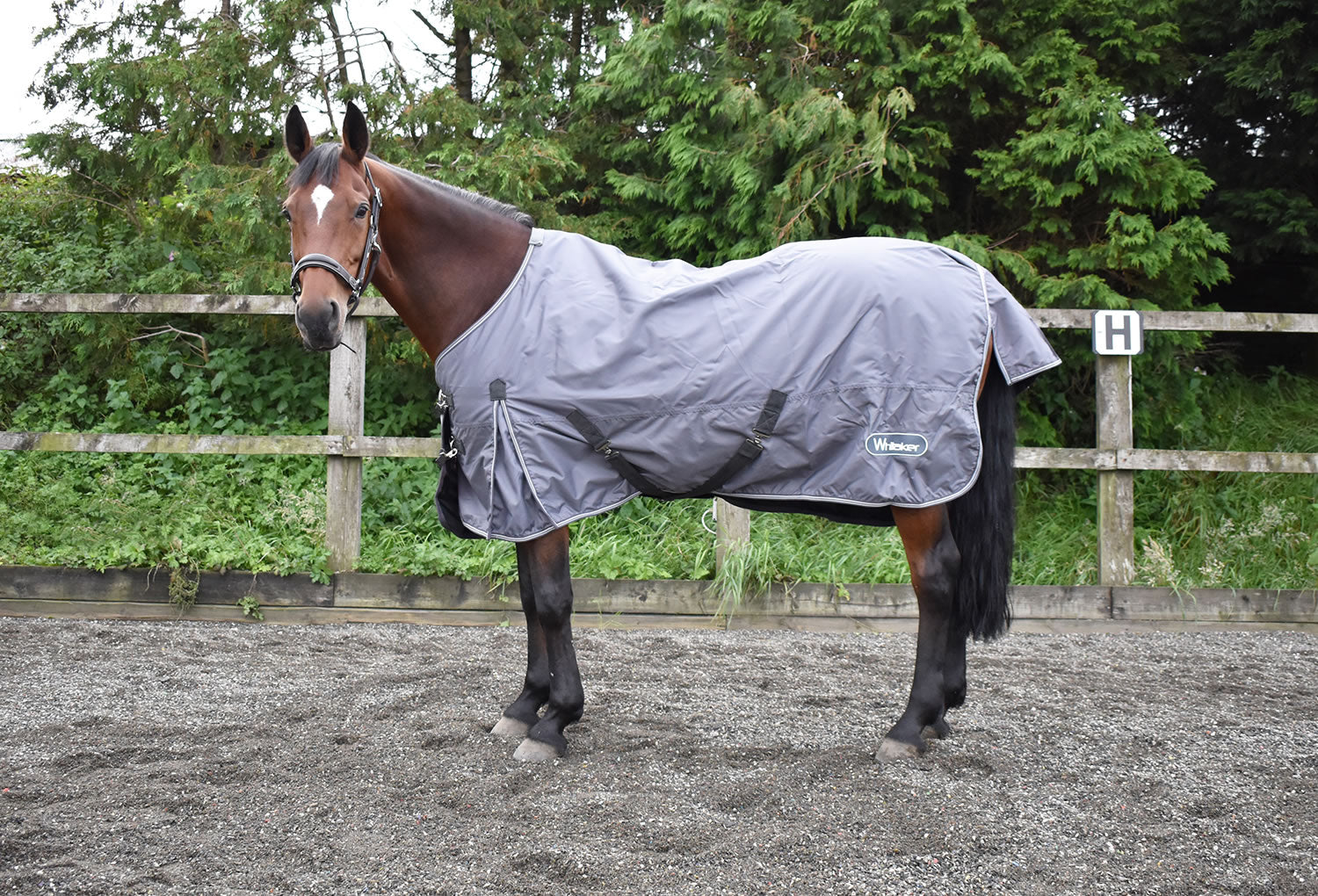 John Whitaker Armley 50g Turnout Rug