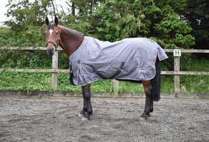 John Whitaker Armley 50g Turnout Rug