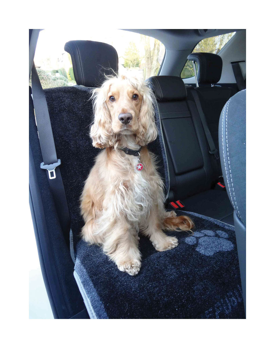 Pet Rebellion Car Seat Mat