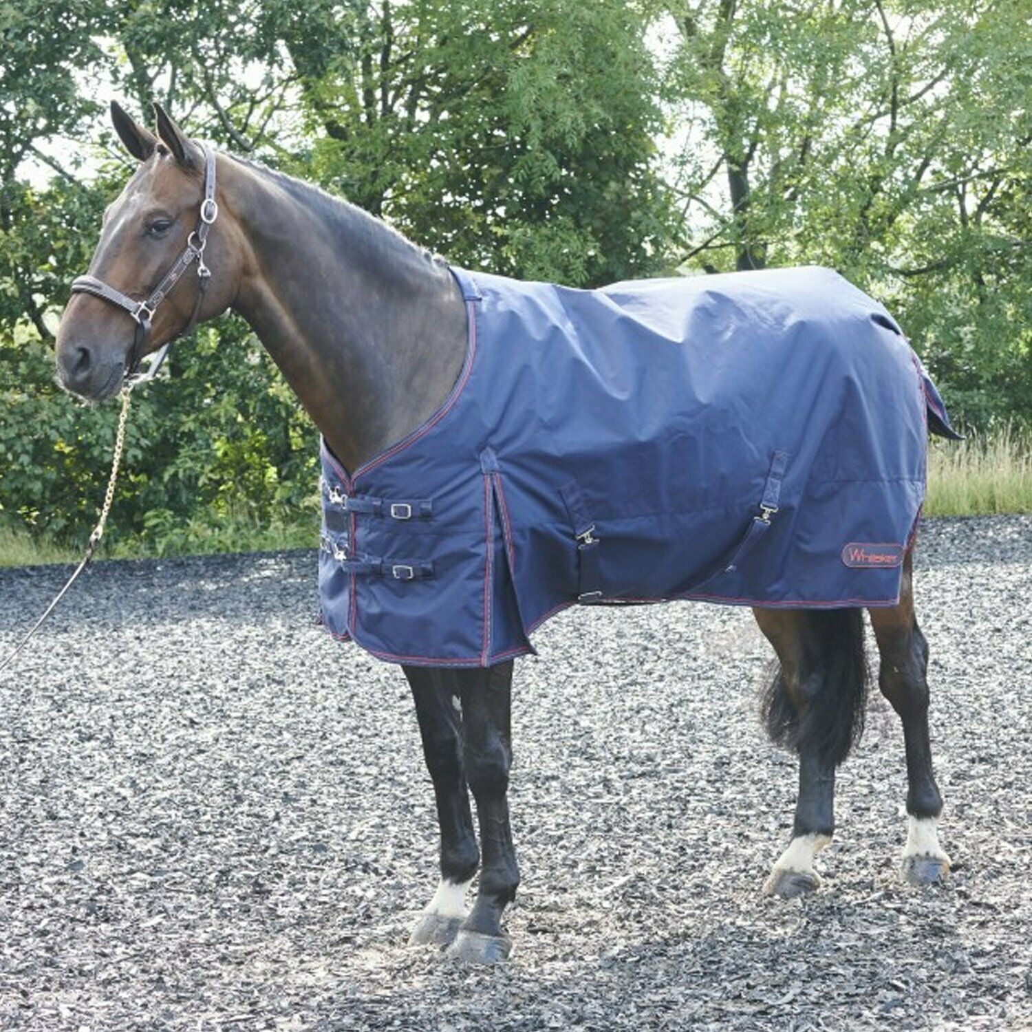 John Whitaker Rastrick 200g Turnout Rug