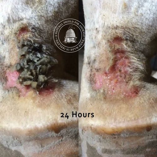 Mother Bee Mud Relief