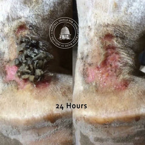 Mother Bee Mud Relief