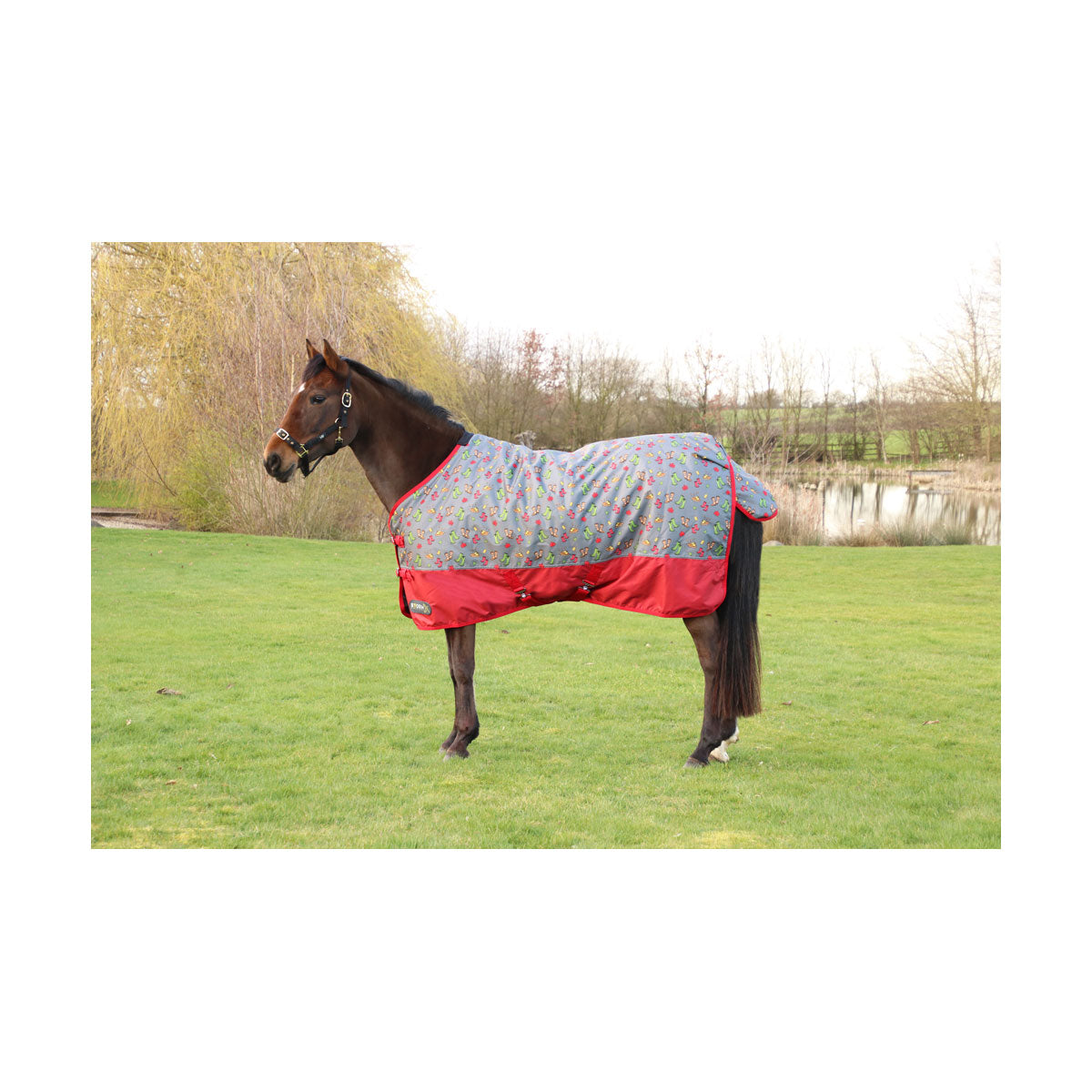 HY StormX 100g Country Walks Turnout Rug **Limited Edition**