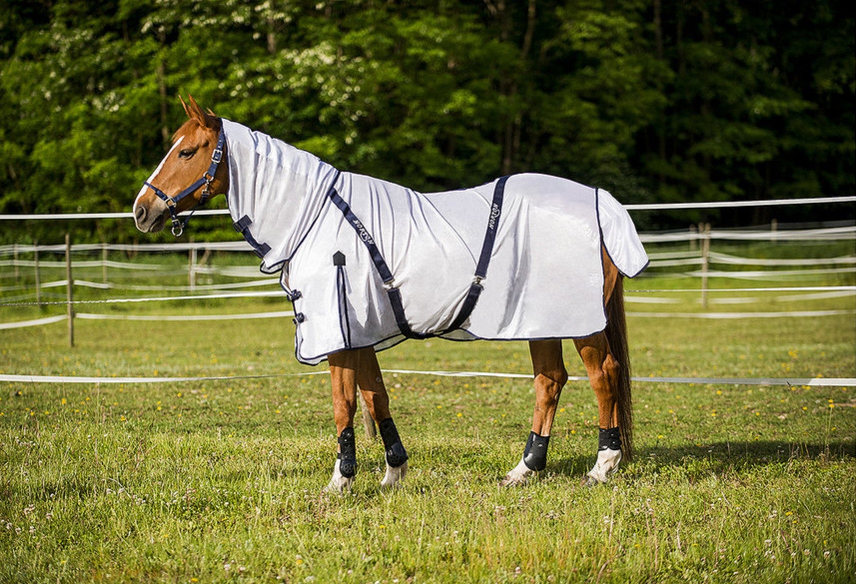 Norton Combo Mesh Fly Sheet