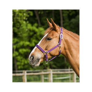 EquiTheme Stripe Fleece Lined Headcollar 5 Colours!!