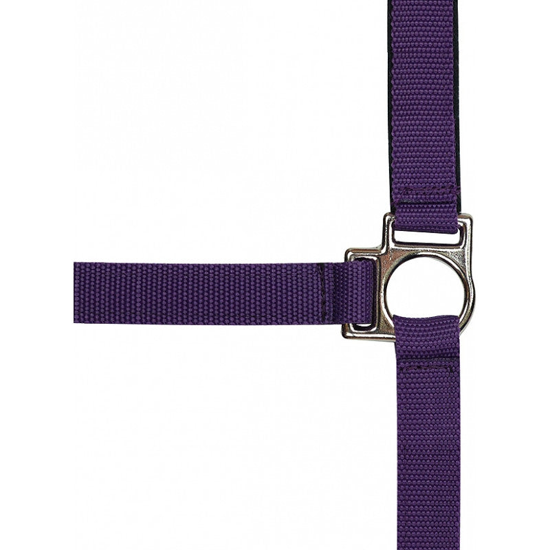 EquiTheme Stripe Fleece Lined Headcollar 5 Colours!!