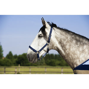 EquiTheme Stripe Fleece Lined Headcollar 5 Colours!!