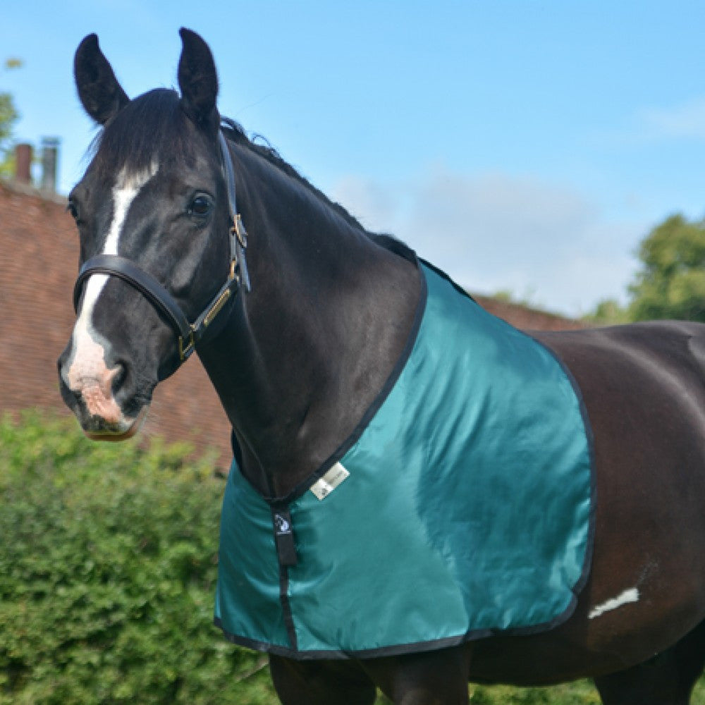 Bossy's Bibs