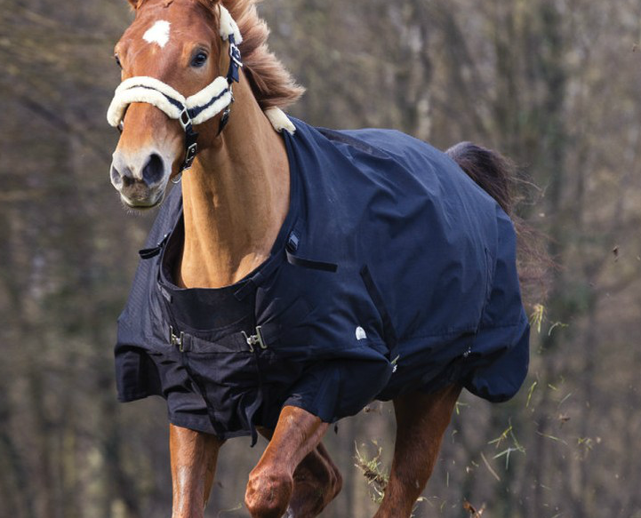 EquiTheme  TYREX 600D Technique Rug 300g